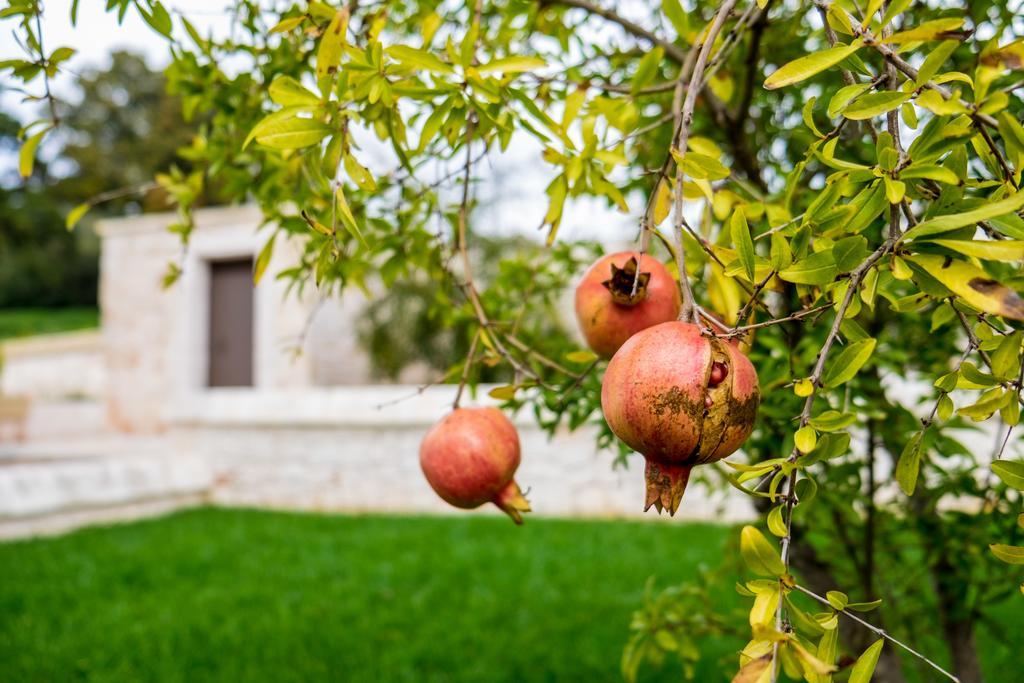 Masseria Paretano Willa Alberobello Zewnętrze zdjęcie